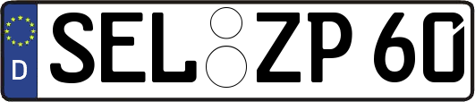 SEL-ZP60