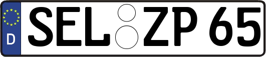 SEL-ZP65