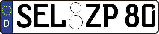 SEL-ZP80