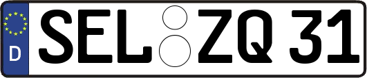 SEL-ZQ31