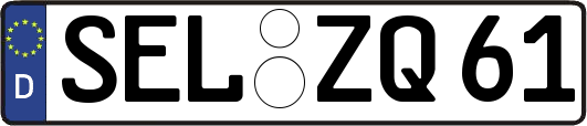 SEL-ZQ61