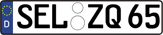 SEL-ZQ65