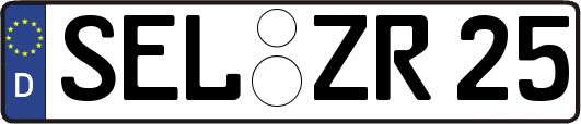 SEL-ZR25