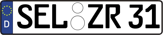 SEL-ZR31