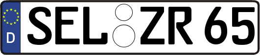 SEL-ZR65