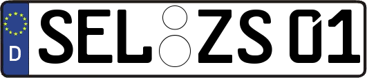 SEL-ZS01