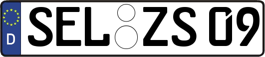 SEL-ZS09