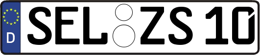 SEL-ZS10