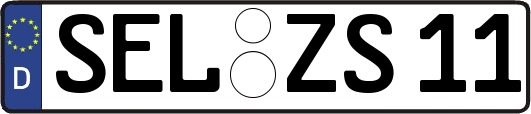SEL-ZS11
