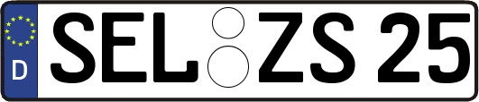 SEL-ZS25