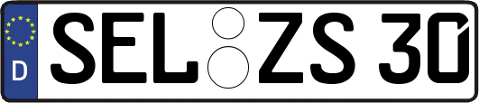 SEL-ZS30