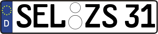 SEL-ZS31