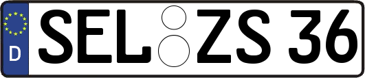 SEL-ZS36
