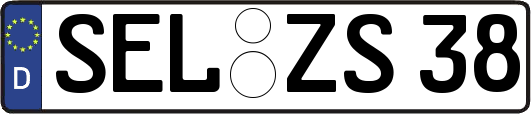 SEL-ZS38