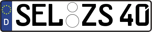 SEL-ZS40