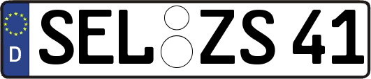 SEL-ZS41