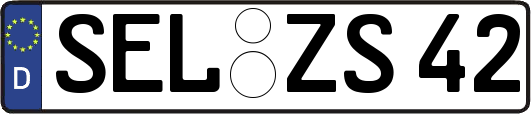 SEL-ZS42