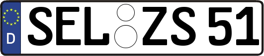 SEL-ZS51