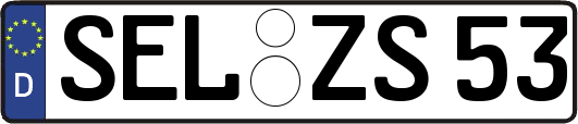 SEL-ZS53
