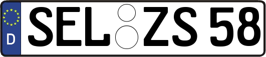 SEL-ZS58