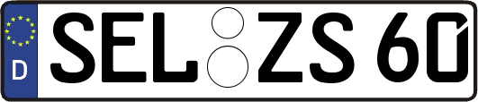 SEL-ZS60