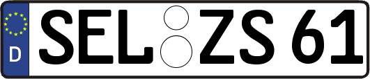 SEL-ZS61