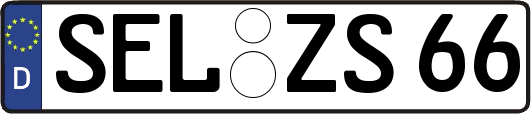 SEL-ZS66