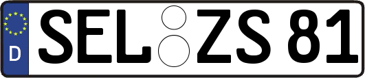 SEL-ZS81