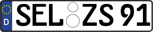 SEL-ZS91