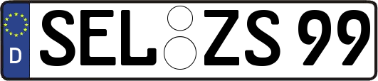 SEL-ZS99