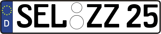 SEL-ZZ25