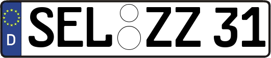 SEL-ZZ31