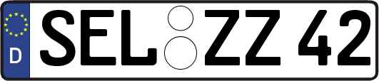 SEL-ZZ42