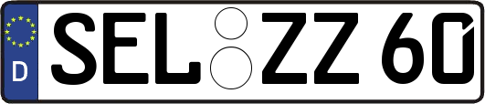 SEL-ZZ60