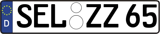 SEL-ZZ65