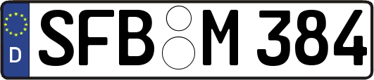 SFB-M384