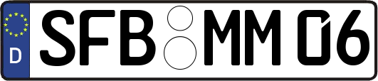 SFB-MM06