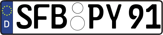 SFB-PY91