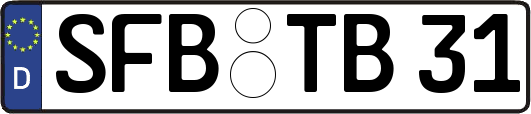 SFB-TB31