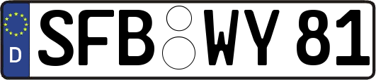SFB-WY81