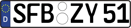 SFB-ZY51