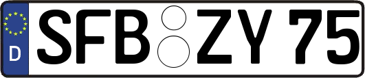 SFB-ZY75