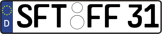 SFT-FF31