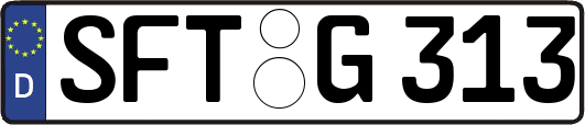 SFT-G313
