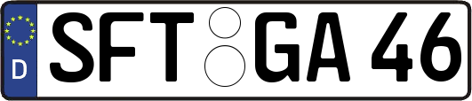 SFT-GA46
