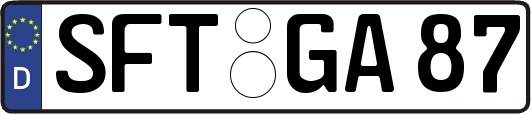 SFT-GA87
