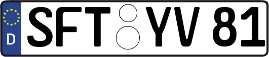 SFT-YV81