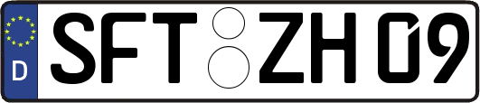 SFT-ZH09