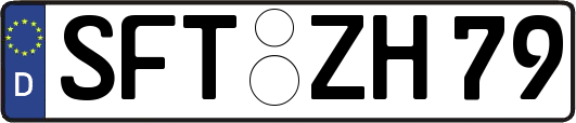 SFT-ZH79