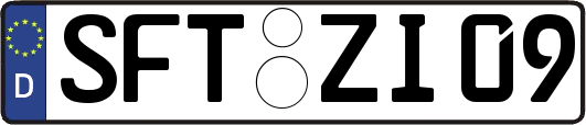 SFT-ZI09